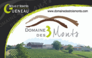 Domaine des 3 Monts